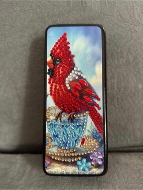 Red Cardinal Decorative Bird Eye Glass Case